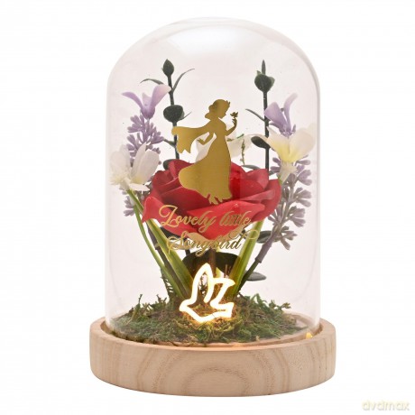 DISNEY PRINCESS - Snow White - Floral Cl