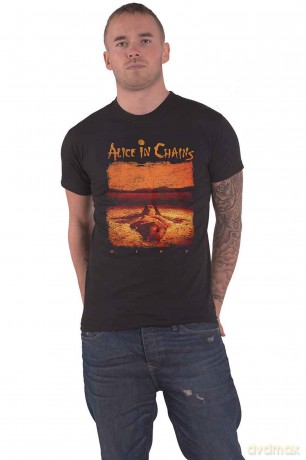 Alice In Chains: Distressed Dirt