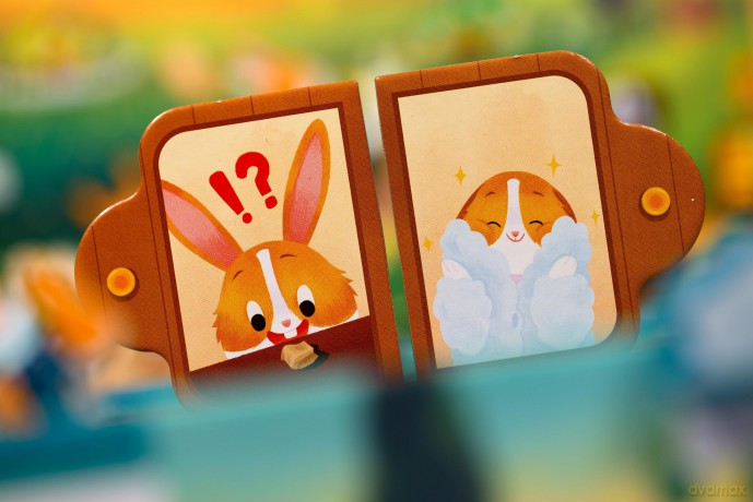Dixit Kids
