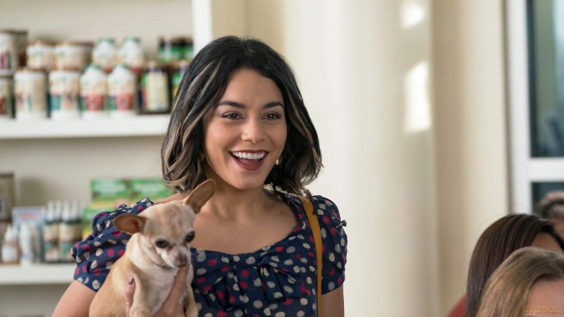 Dog Days - Herz, Hund, Happy End! [Blu-Ray]