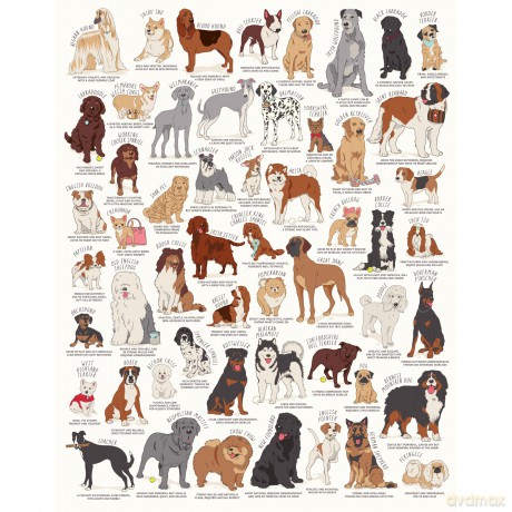 Dog Lovers 1000 Piece Jigsaw Puzzle