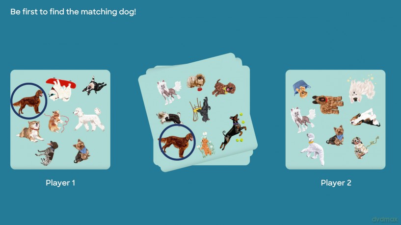 Dog Spotter [KSIĄŻKA]
