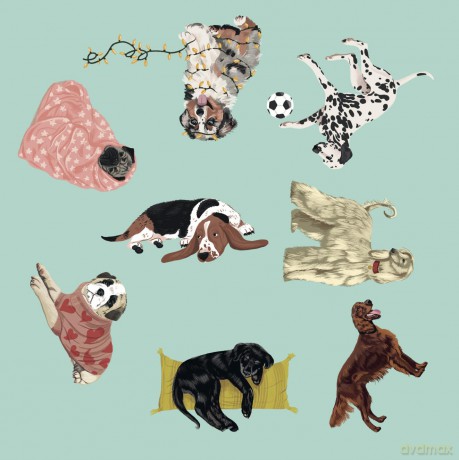 Dog Spotter [KSIĄŻKA]