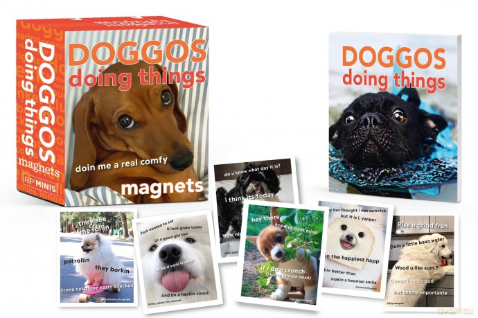 Doggos Doing Things Magnets [KSIĄŻKA]