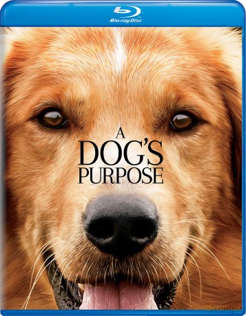 Dog's Purpose [Blu-Ray]