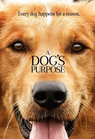 Dog's Purpose [DVD]
