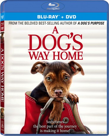 Dog's Way Home [2xBlu-Ray]