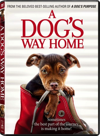 Dog's Way Home [DVD]
