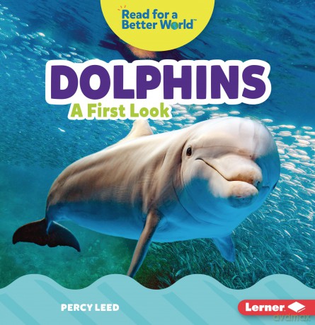 Dolphins [KSIĄŻKA]