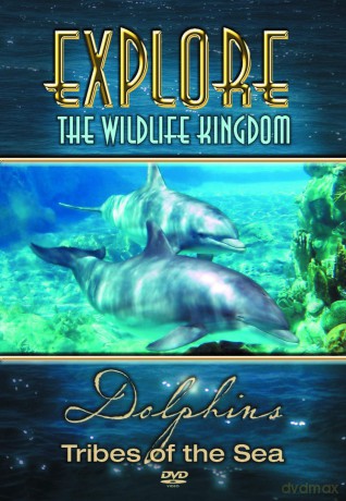 Dolphins Tribes Of The Sea [DVD]