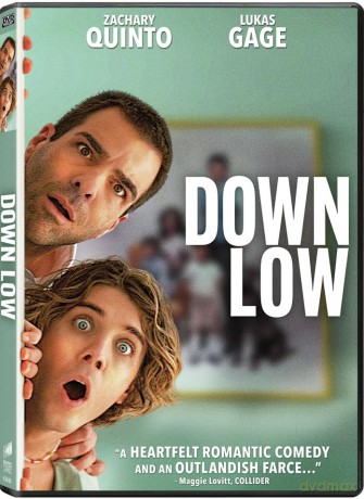 Down Low [DVD]
