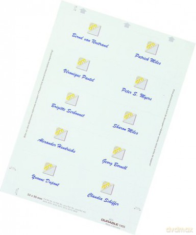 Durable: Dp Einsteckschild 30x60 540St.