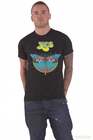 Yes: Dragonfly