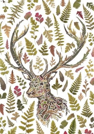 Draw From Nature [KSIĄŻKA]
