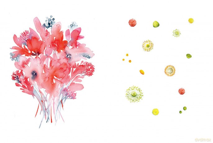 Draw Your Way Botanical Watercolour [KSIĄŻKA]