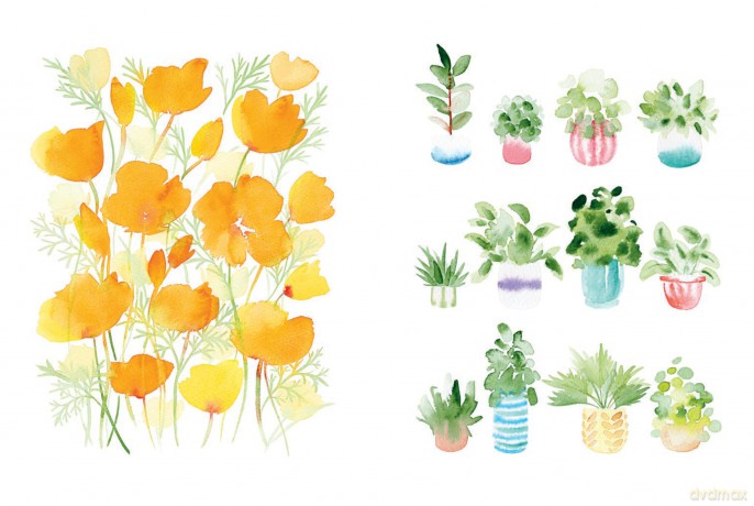 Draw Your Way Botanical Watercolour [KSIĄŻKA]