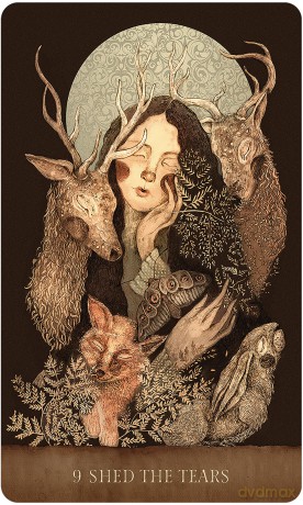 Dream Song Oracle [KSIĄŻKA]