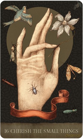 Dream Song Oracle [KSIĄŻKA]