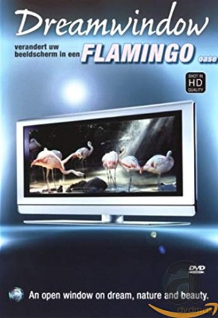 Dream Window - Flamingo's [DVD]