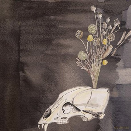 Steve Gunn and The Black Twig Pickers: Seasonal Hire [CD]