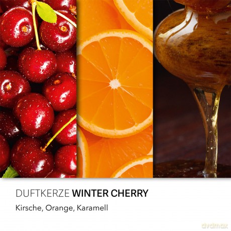 Duftkerze Haribo Winterland 3er Set