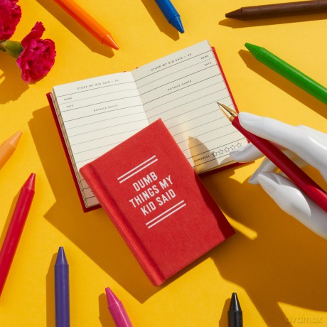 Dumb Things My Kid Said Tiny Diary [KSIĄŻKA]