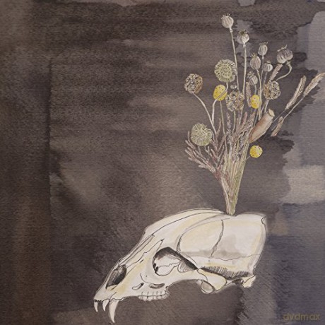 Steve Gunn and The Black Twig Pickers: Seasonal Hire [Winyl]