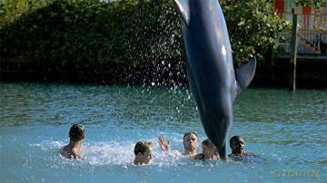 Echo, der Delphin - Eine Freundschaft fürs Leben [Blu-Ray]