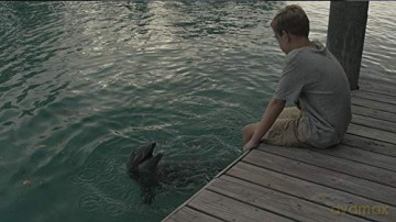 Echo, der Delphin - Eine Freundschaft fürs Leben [Blu-Ray]