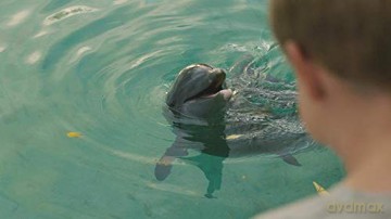 Echo, der Delphin - Eine Freundschaft fürs Leben [Blu-Ray]