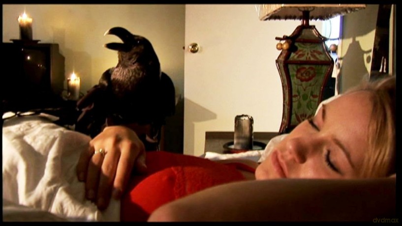 Edgar Allan Poe-The Raven [DVD]