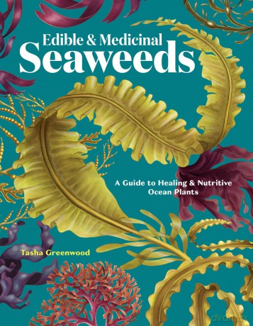 Edible Medicinal Seaweeds [KSIĄŻKA]