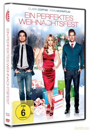 Ein Perfektes Weihnachtsfest [DVD]