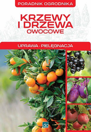 Poradnik Ogrodnika Krzewy I Drzewa Owocowe - Michał Mazik [KSIĄŻKA]