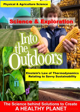 Einstein's Law Of Thermodynamics [DVD]