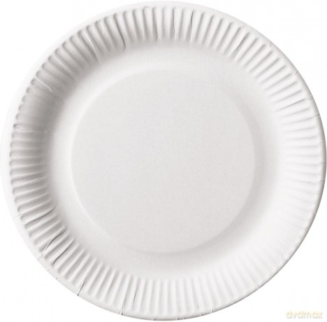 Einweg Pappteller,23cm,100er