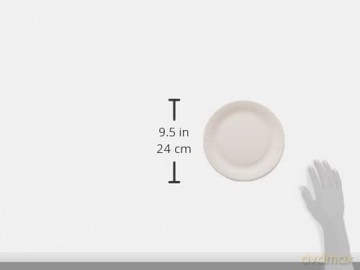 Einweg Pappteller,23cm,100er