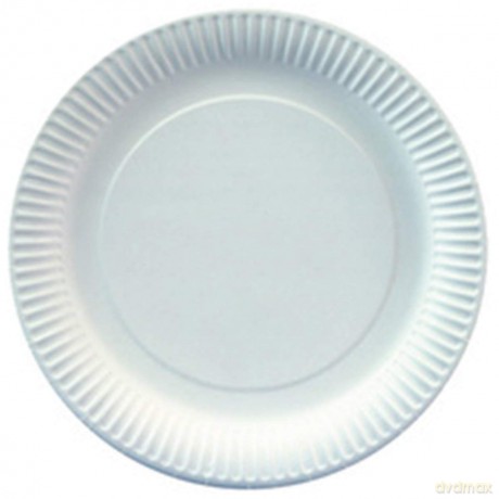 Einweg Pappteller,23cm,100er