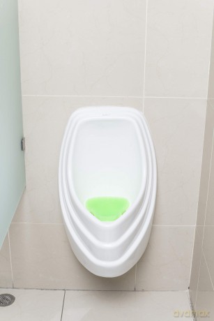 Ekco Urinaleinsatz Green Apple
