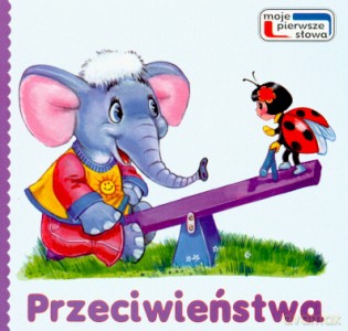 Przeciwieństwa [KSIĄŻKA]