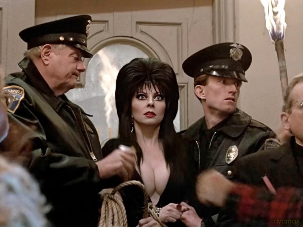 Elvira - Herrscherin Der Dunkelheit (Ink [2DVD]