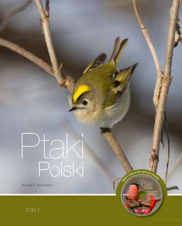 Ptaki Polski Tom 2 - Andrzej G. Kruszewicz [KSIĄŻKA]