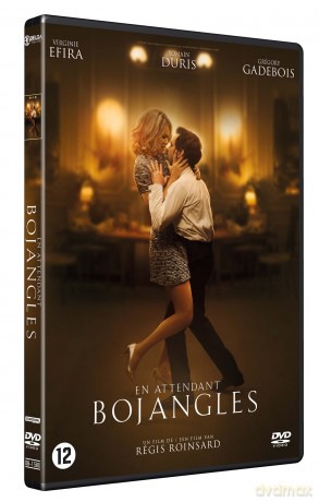 En Attendant Bojangles [DVD]