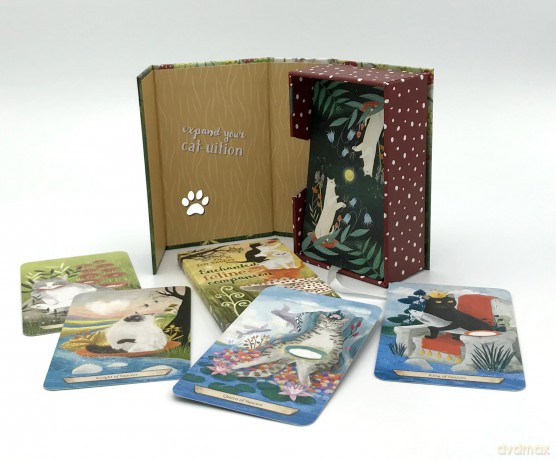 Enchanted Forest Felines Tarot [KSIĄŻKA]