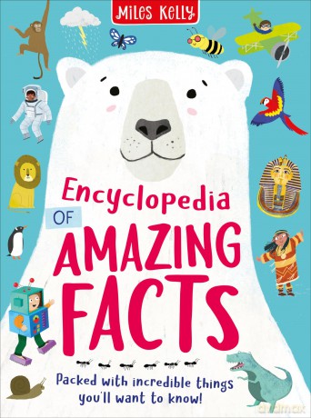 Encyclopedia Of Amazing Hb [KSIĄŻKA]