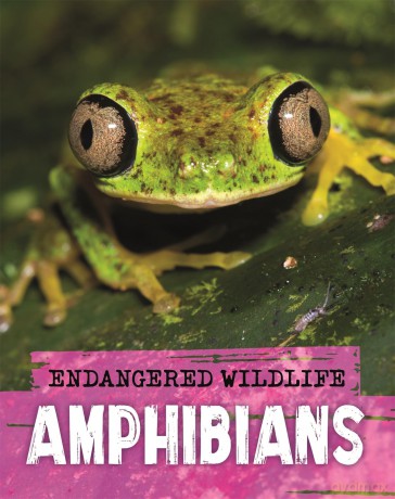 Endangered Wildlife Rescuing Amphibians [KSIĄŻKA]