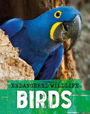Endangered Wildlife Rescuing Birds [KSIĄŻKA]