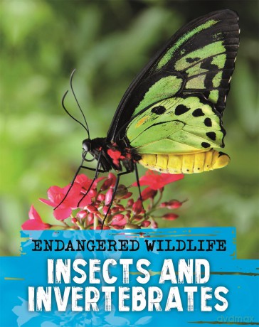 Endangered Wildlife Rescuing Insects and Invertebrates [KSIĄŻKA]
