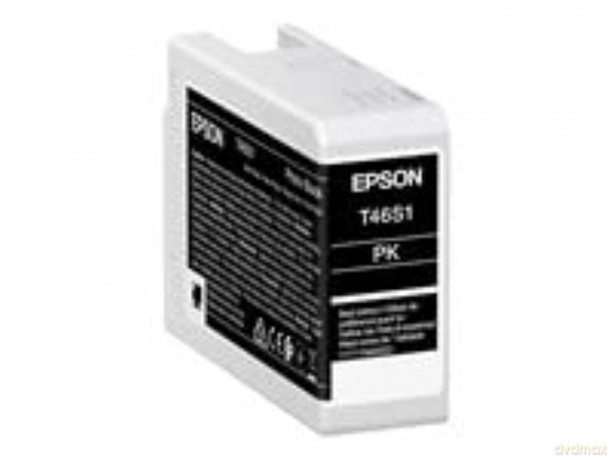 EPSON T46S1 Foto schwarz Tintenpatrone