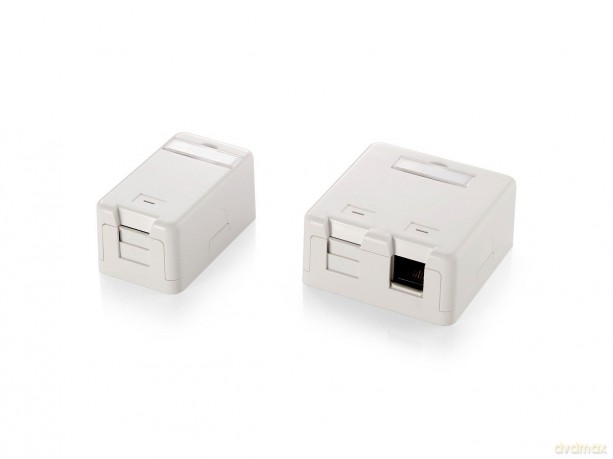 Equip Aufputzdose 2x Keystone Jack mit